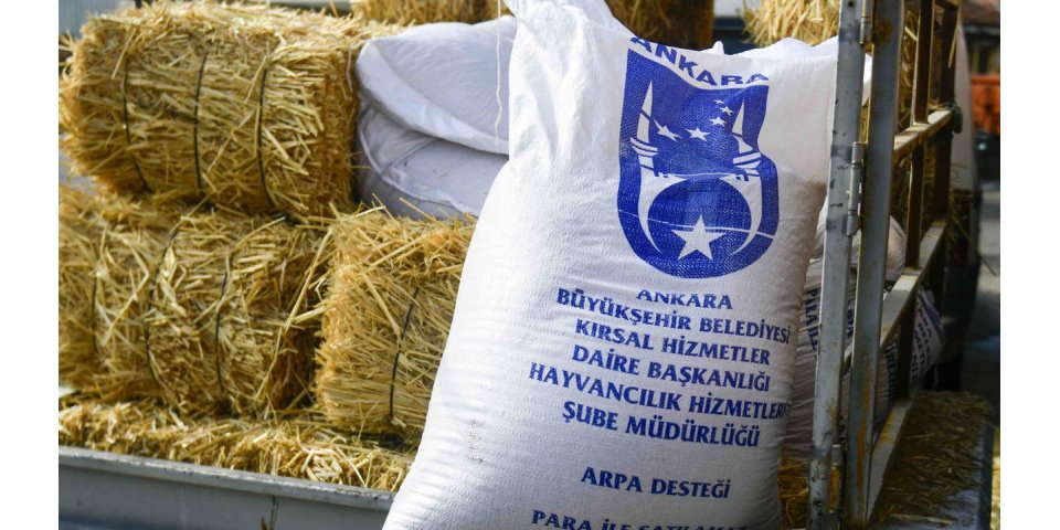 ABB'den Ankara'daki 92 Manda Yetiştiricisine Kapsamlı Yem ve Kırsal Kalkınma Desteği