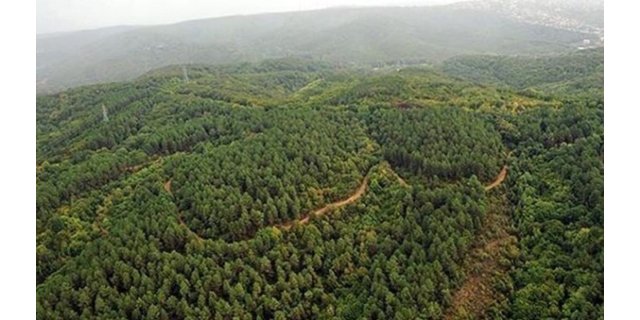 Türkiye'nin Doğal Sit Alanları Genişliyor: 28.907 Kilometrekare Koruma Altında