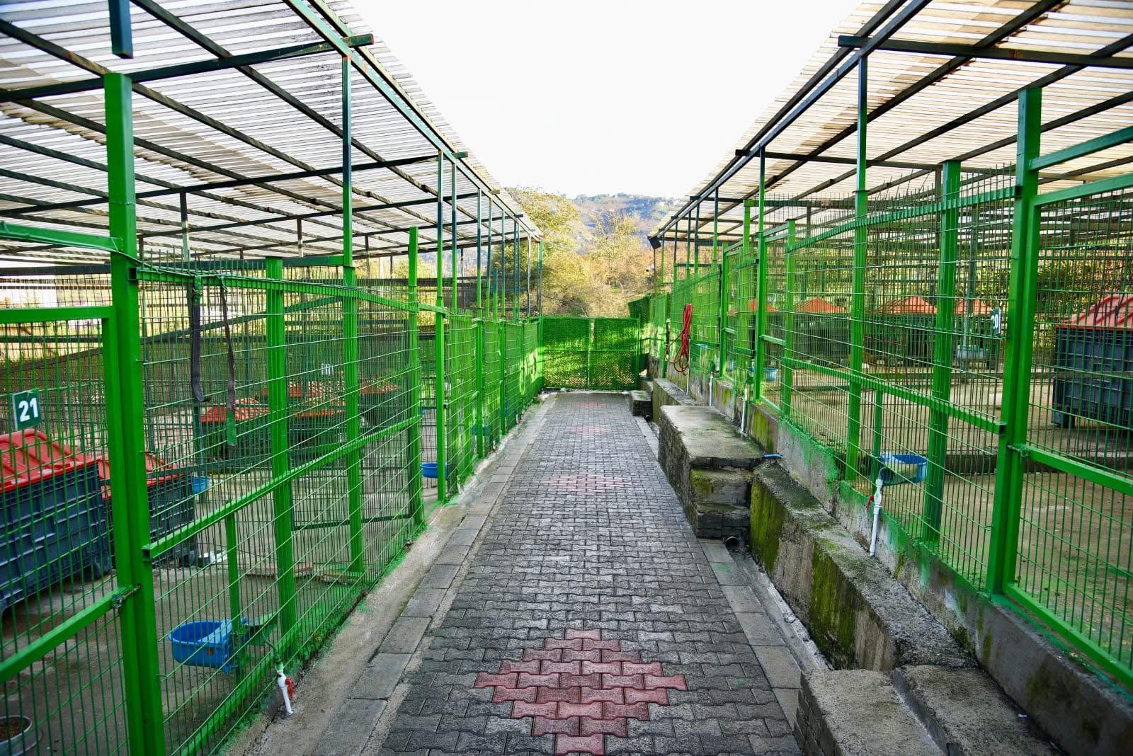 Giresun Belediyesi Hayvan Barınağı