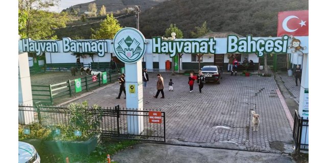 Giresun Belediyesi Hayvan Barınağı'nın 2025 Faaliyet Raporu: Sahiplendirme ve Kısırlaştırma Başarıları