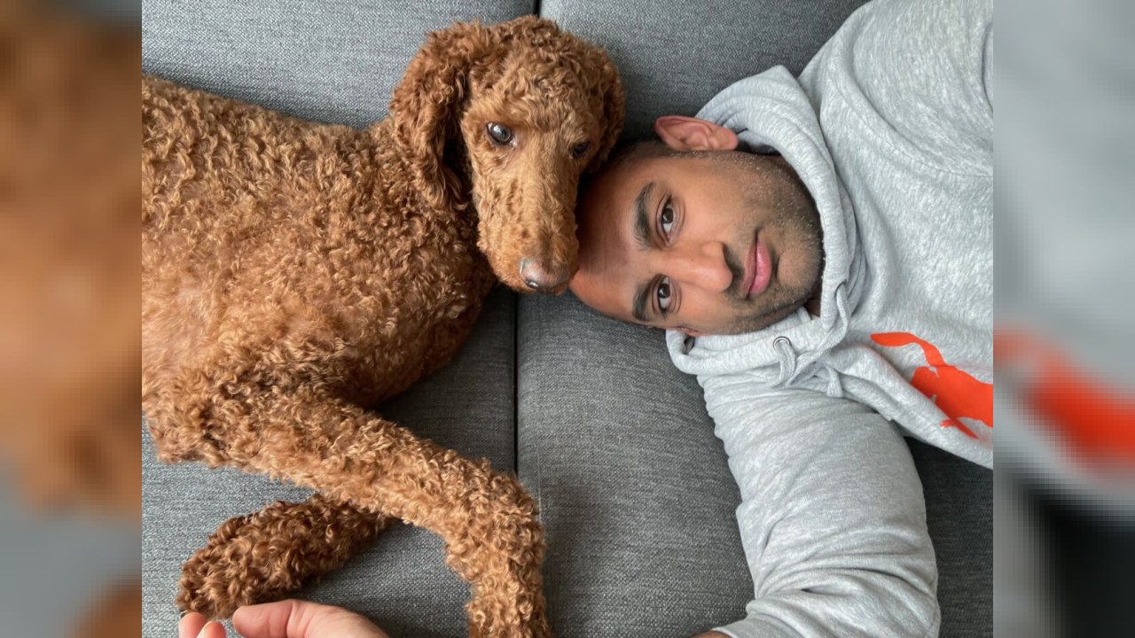 Sniff iOS uygulaması köpek profilleriyle mahalle bağlantısı kuruyor