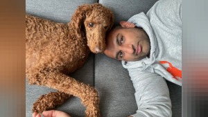 Sniff iOS uygulaması köpek profilleriyle mahalle bağlantısı kuruyor