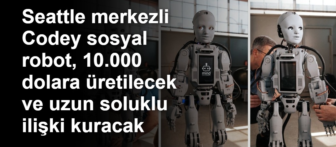 Seattle merkezli Codey sosyal robot, 10.000 dolara üretilecek ve uzun soluklu ilişki kuracak